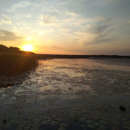 Domek Na Terenie Poleskiego Parku Narodowego Urszulin  Buitenkant foto