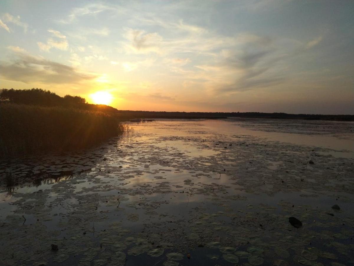 Domek Na Terenie Poleskiego Parku Narodowego Urszulin  Buitenkant foto